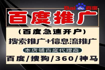 SEM代运营公司案例：优化策略揭秘